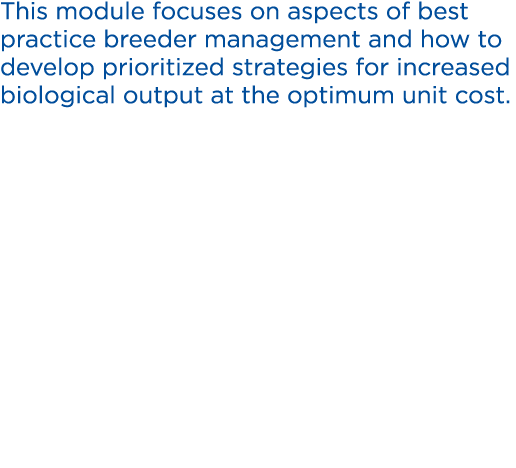 This module focuses on aspects of best practice breeder management and how to develop prioritized strategies for incr...